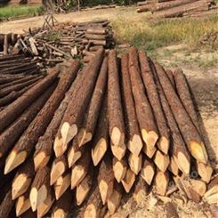 10米杉木桩尺寸 胜洁木业 防汛杉木桩直径