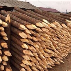 上海杉木桩尺寸 防汛杉木桩护岸 防汛杉木桩销售