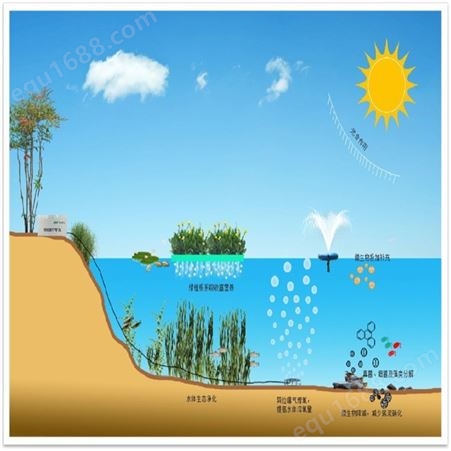 河道治理技术 河道生态修复 水质改善 博润达 厂家供应