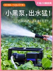 水泵家用抽水浇菜神器自吸电动充电式12v24v直流农用大功率抽水机
