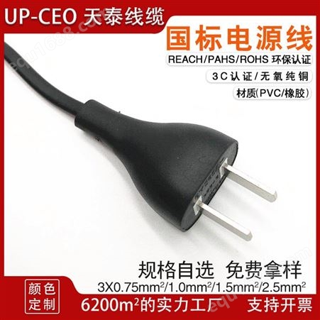 供应直头两芯国标电源插头 带8字尾电源线 中国3C插头线