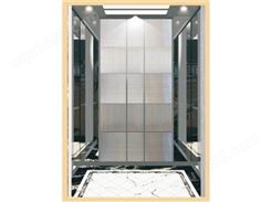 东奥 别墅电梯定制 家用电梯室内外小型别墅复式阁楼升降机可定制