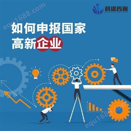 广州高新申报咨询 全链条全流程服务 享财税补贴 提升企业竞争力