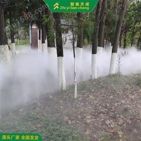 银川小区雾森喷雾系统设备 假山雾化喷淋系统 智易天成