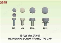 生产出售各种汽车外六角M6 M8 M10 M12螺丝装饰帽保护盖
