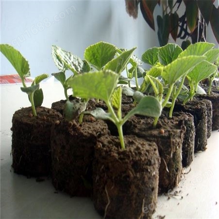 供应 育苗基质  花卉蔬菜种植用营养土 草炭土 免费提供样品