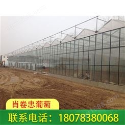 桂林永福连栋温室大棚-玻璃温室工程可上门设计