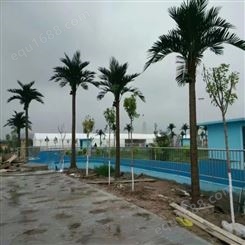 人造仿真椰子树材质玻璃钢 天骄园林10余年老厂值得合作