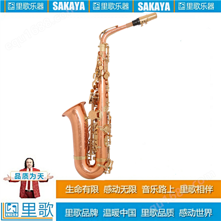 SAKAYA 萨卡亚降E中音萨克斯乐器演奏学习用 SAS-868