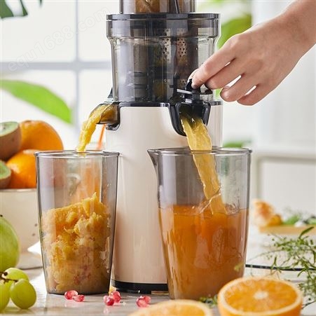原汁机渣汁分离小型慢榨家用迷你纯果榨汁机